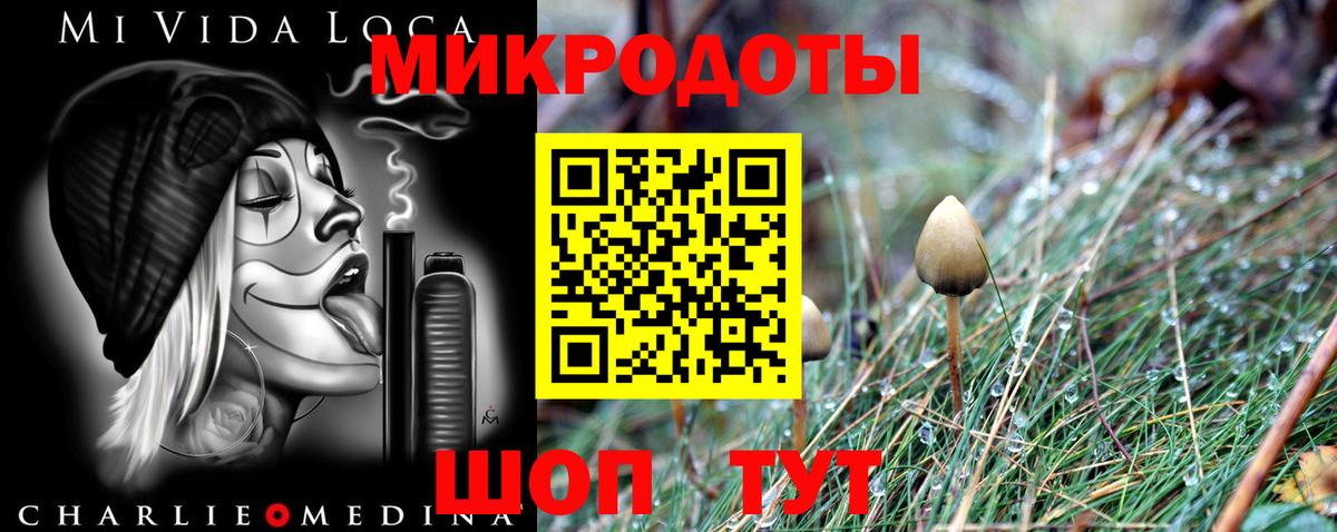 Азов  Псилоцибиновые грибы Cubensis  Вход с VPN 